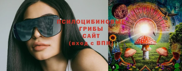 дживик Михайлов