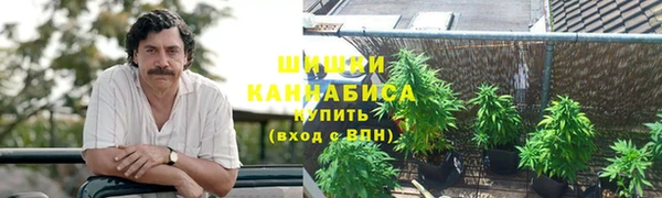 стафф Верхний Тагил