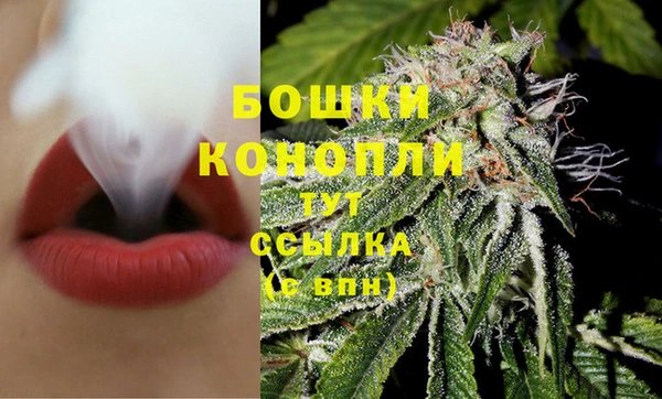 PSILOCYBIN Навашино