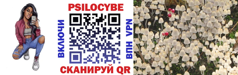 Галлюциногенные грибы Psilocybine cubensis Кизилюрт