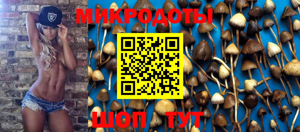 Псилоцибиновые грибы мухоморы  Кизилюрт  Псилоцибиновые грибы мухоморы 