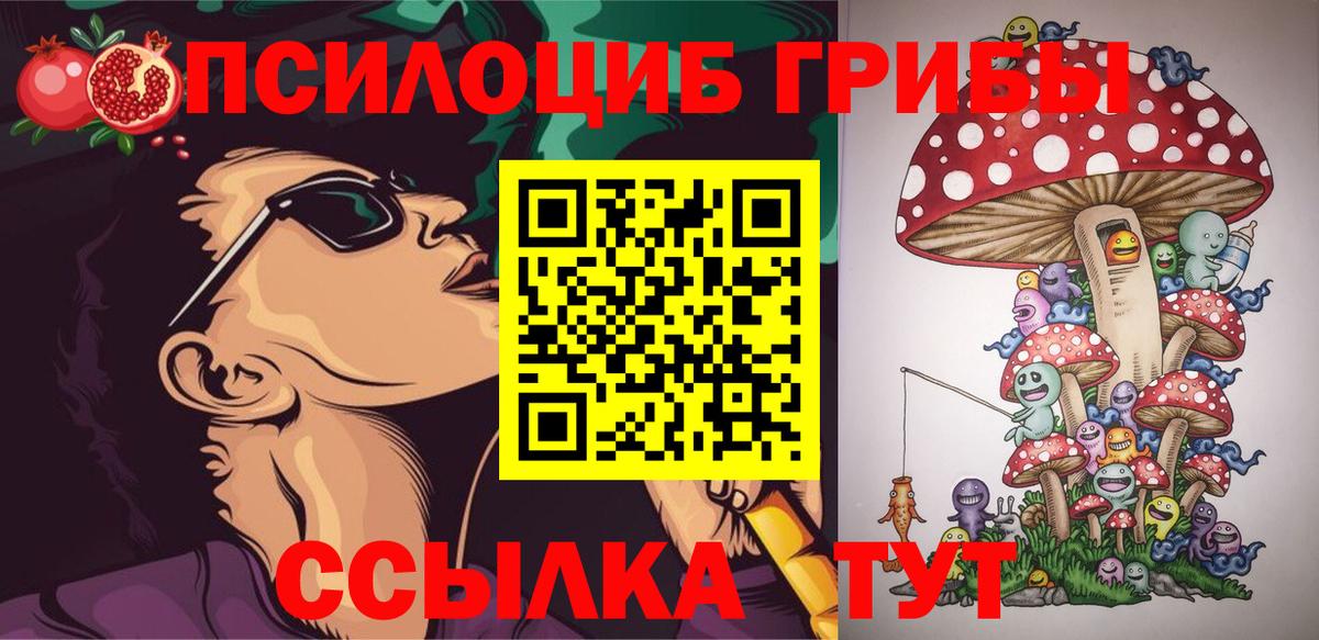 Галлюциногенные грибы MAGIC MUSHROOMS  Вход с VPN  Псилоцибиновые грибы Psilocybe  Кизилюрт 